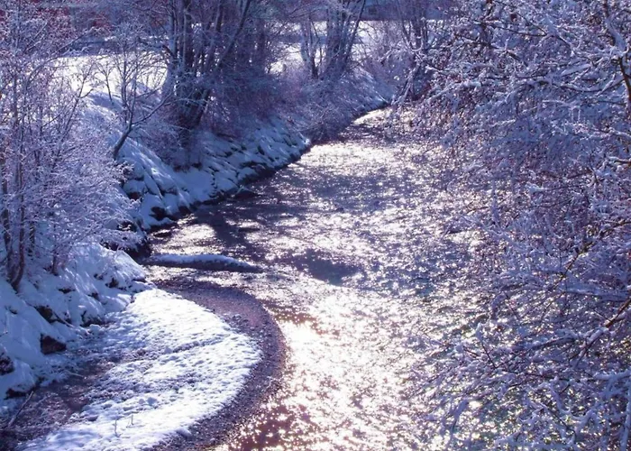 Family Apartment In Neustift With Sauna And Garden 公寓 *